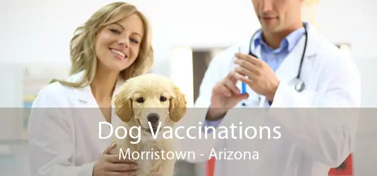 Dog Vaccinations Morristown - Arizona
