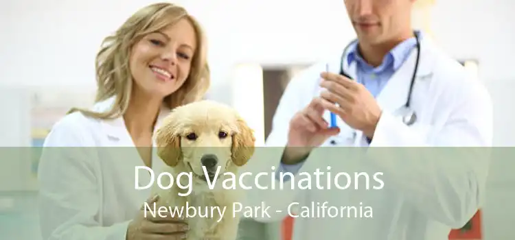 Dog Vaccinations Newbury Park - California
