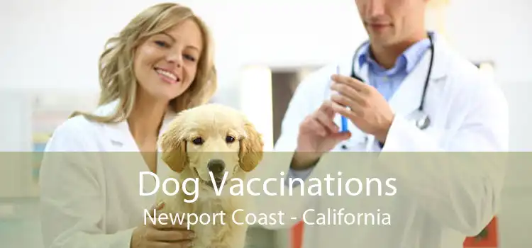Dog Vaccinations Newport Coast - California