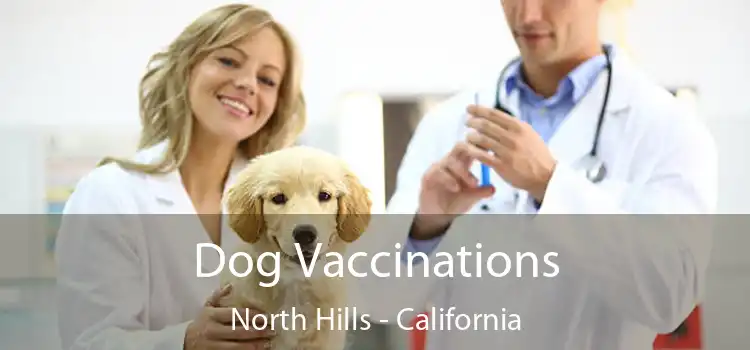 Dog Vaccinations North Hills - California
