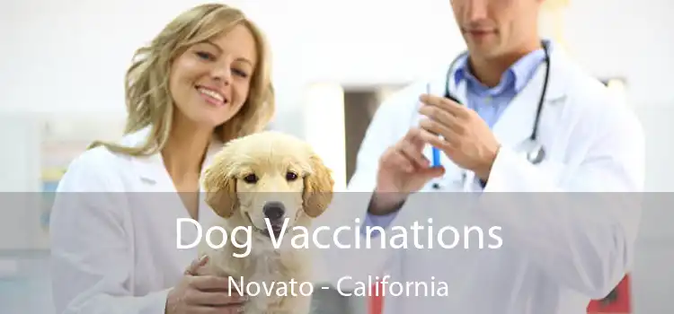 Dog Vaccinations Novato - California