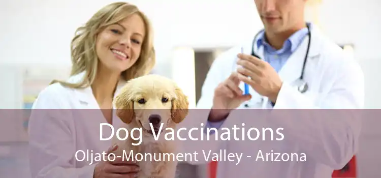 Dog Vaccinations Oljato-Monument Valley - Arizona