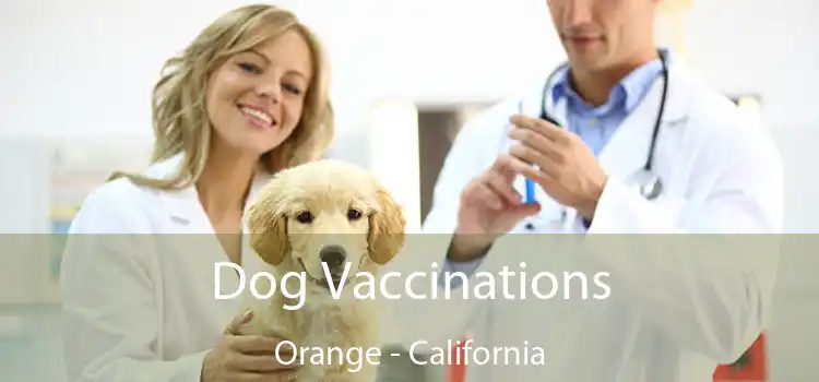 Dog Vaccinations Orange - California