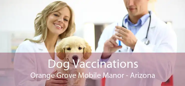 Dog Vaccinations Orange Grove Mobile Manor - Arizona
