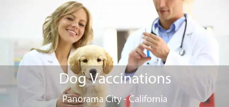 Dog Vaccinations Panorama City - California