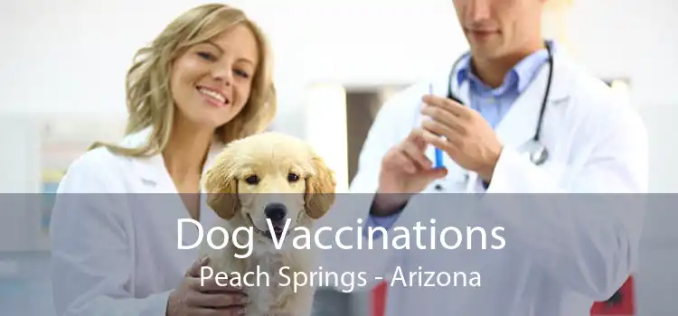 Dog Vaccinations Peach Springs - Arizona