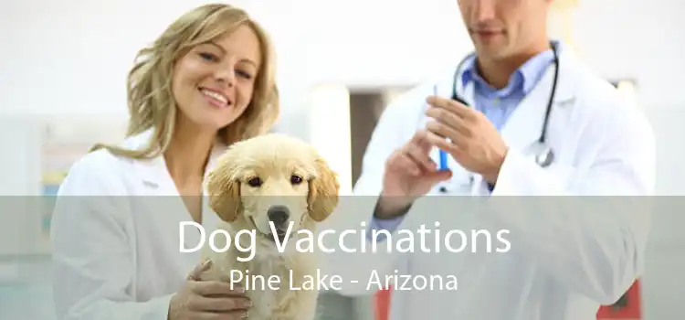 Dog Vaccinations Pine Lake - Arizona