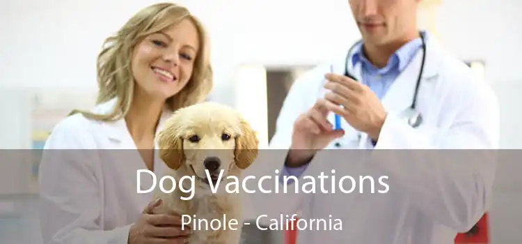 Dog Vaccinations Pinole - California