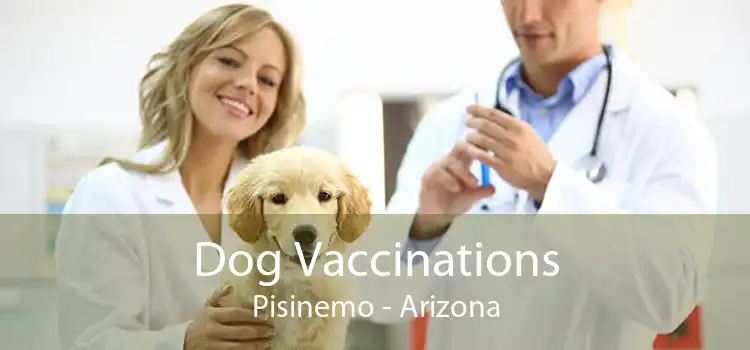 Dog Vaccinations Pisinemo - Arizona