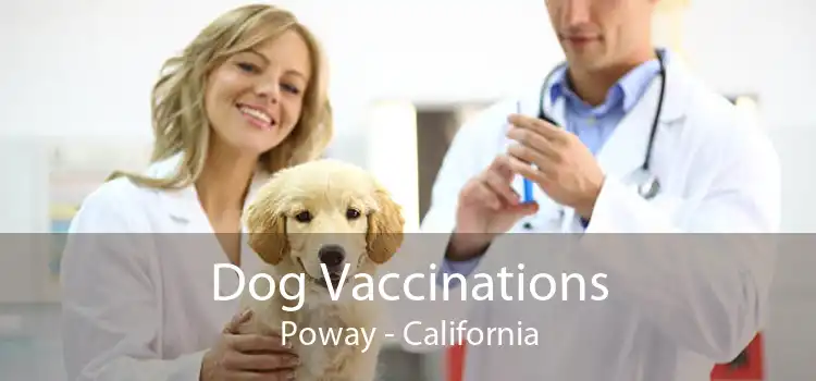 Dog Vaccinations Poway - California