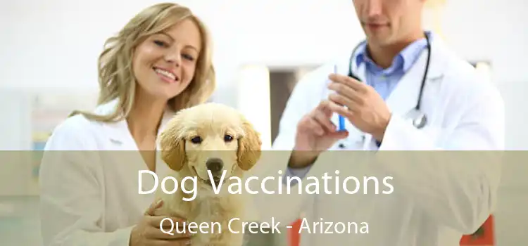 Dog Vaccinations Queen Creek - Arizona