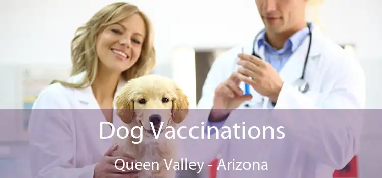 Dog Vaccinations Queen Valley - Arizona