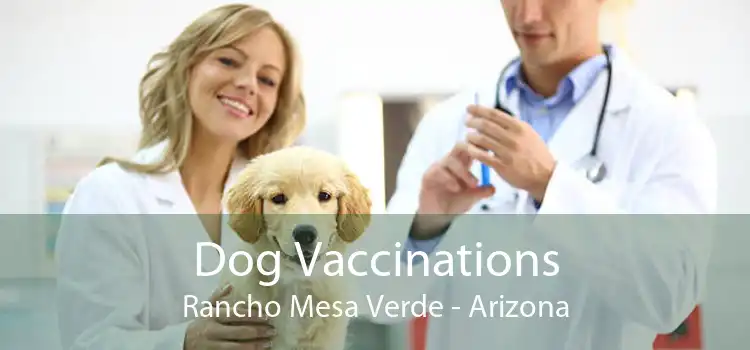 Dog Vaccinations Rancho Mesa Verde - Arizona