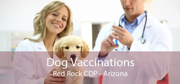 Dog Vaccinations Red Rock CDP - Arizona