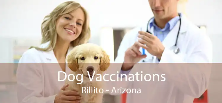 Dog Vaccinations Rillito - Arizona