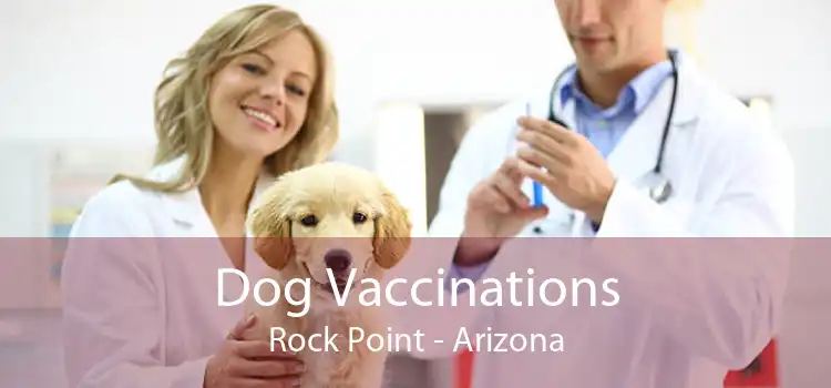 Dog Vaccinations Rock Point - Arizona
