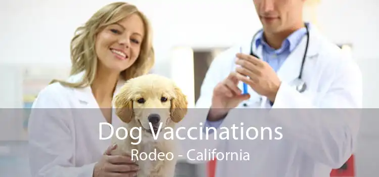 Dog Vaccinations Rodeo - California