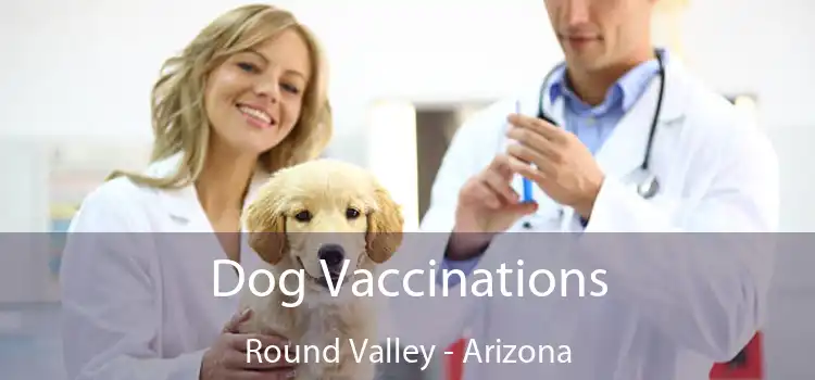 Dog Vaccinations Round Valley - Arizona