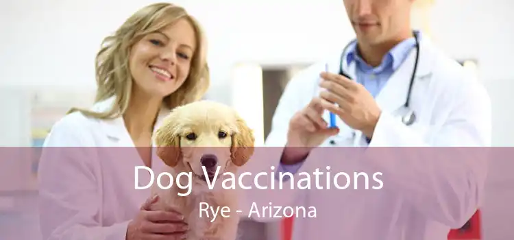 Dog Vaccinations Rye - Arizona