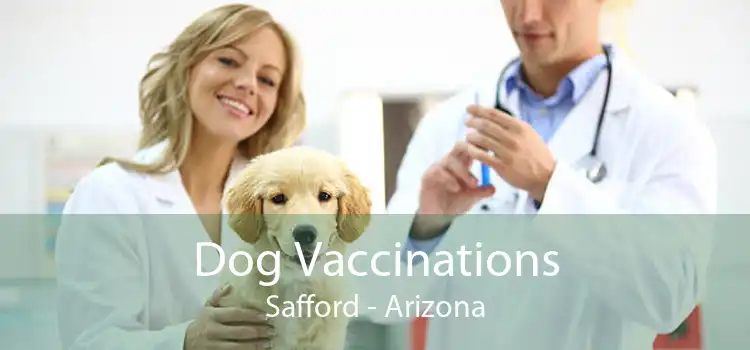 Dog Vaccinations Safford - Arizona