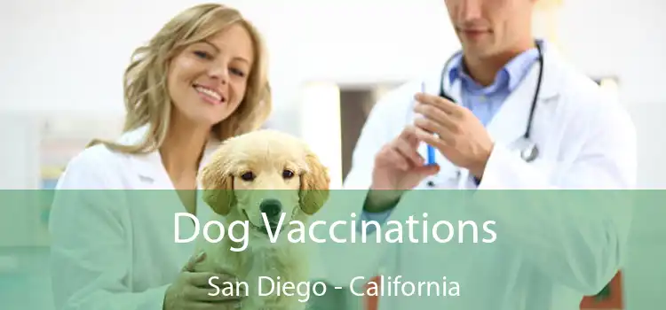 Dog Vaccinations San Diego - California