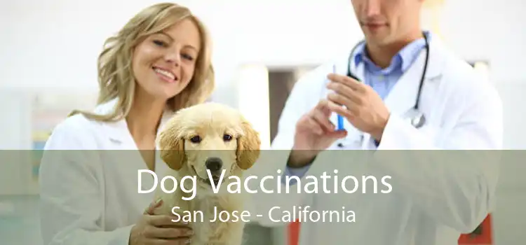 Dog Vaccinations San Jose - California
