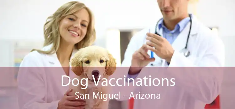 Dog Vaccinations San Miguel - Arizona