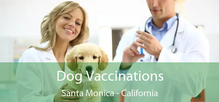 Dog Vaccinations Santa Monica - California