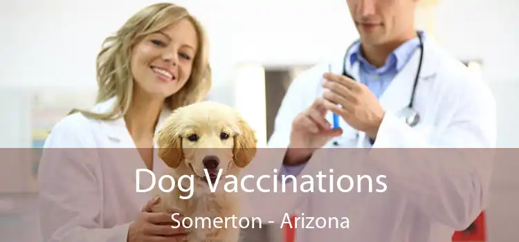 Dog Vaccinations Somerton - Arizona