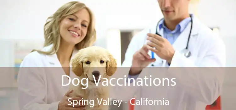 Dog Vaccinations Spring Valley - California