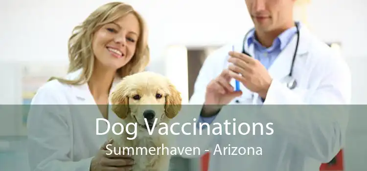 Dog Vaccinations Summerhaven - Arizona