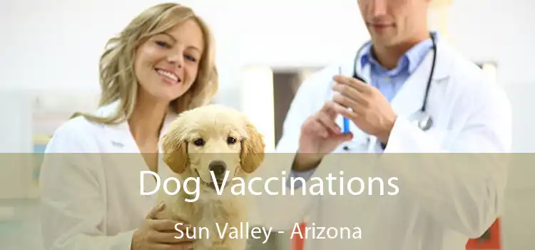 Dog Vaccinations Sun Valley - Arizona