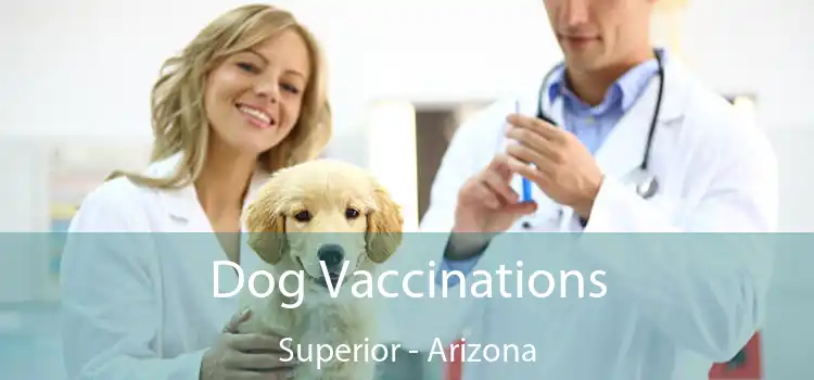 Dog Vaccinations Superior - Arizona