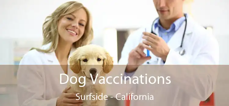 Dog Vaccinations Surfside - California