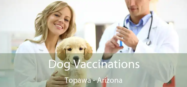 Dog Vaccinations Topawa - Arizona