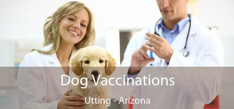 Dog Vaccinations Utting - Arizona