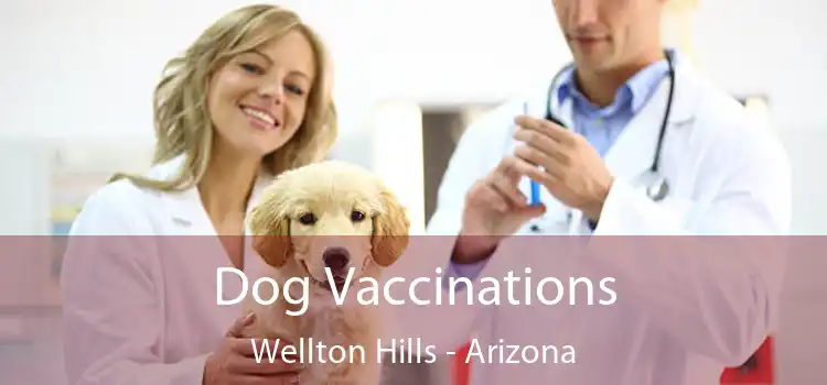 Dog Vaccinations Wellton Hills - Arizona
