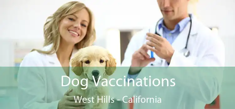 Dog Vaccinations West Hills - California