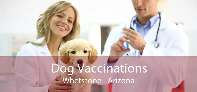 Dog Vaccinations Whetstone - Arizona