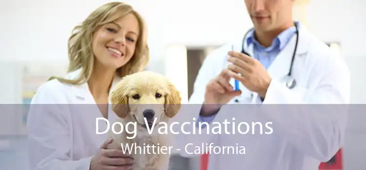 Dog Vaccinations Whittier - California