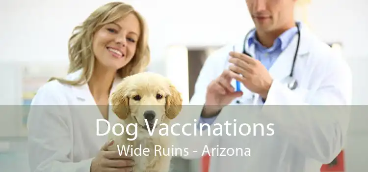 Dog Vaccinations Wide Ruins - Arizona
