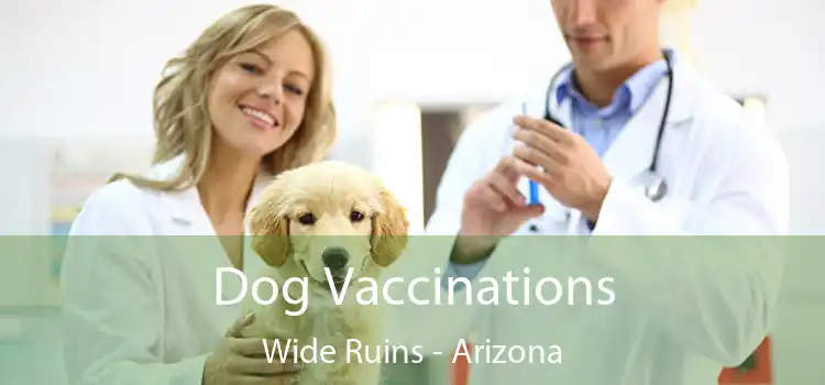 Dog Vaccinations Wide Ruins - Arizona