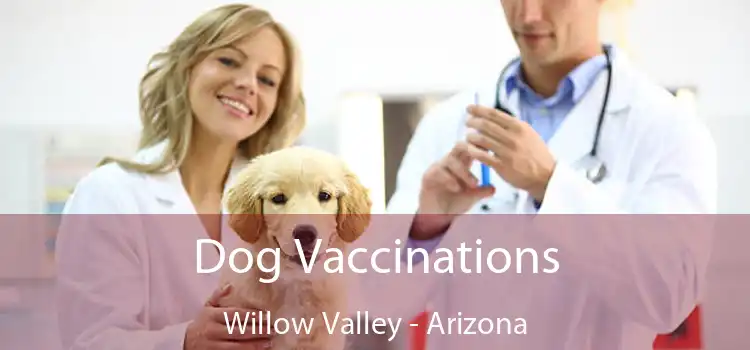 Dog Vaccinations Willow Valley - Arizona