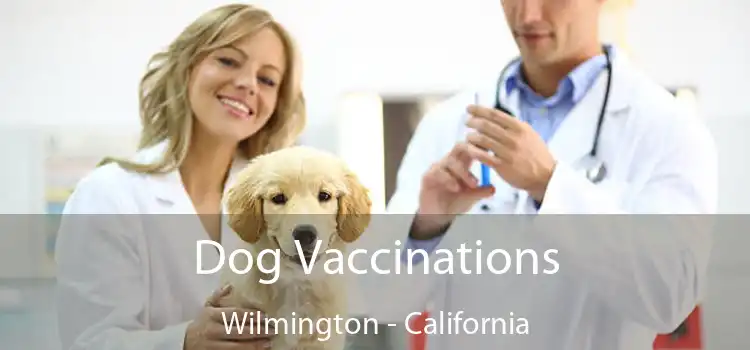 Dog Vaccinations Wilmington - California