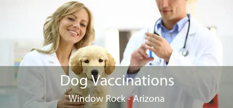 Dog Vaccinations Window Rock - Arizona