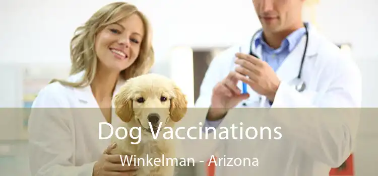 Dog Vaccinations Winkelman - Arizona