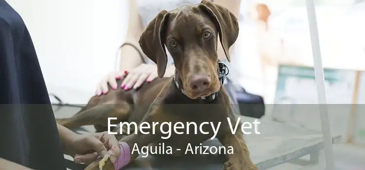 Emergency Vet Aguila - Arizona