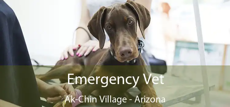 Emergency Vet Ak-Chin Village - Arizona