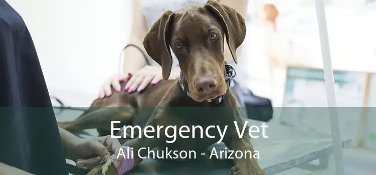Emergency Vet Ali Chukson - Arizona