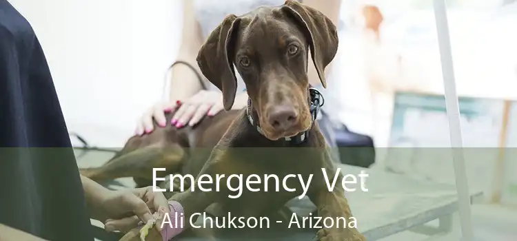 Emergency Vet Ali Chukson - Arizona